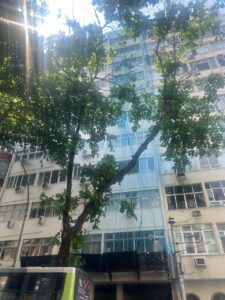 Portfolio Montesinai 01